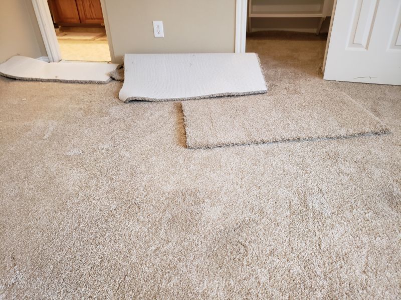 Carpet Cushion Replacement in Littleton, CO