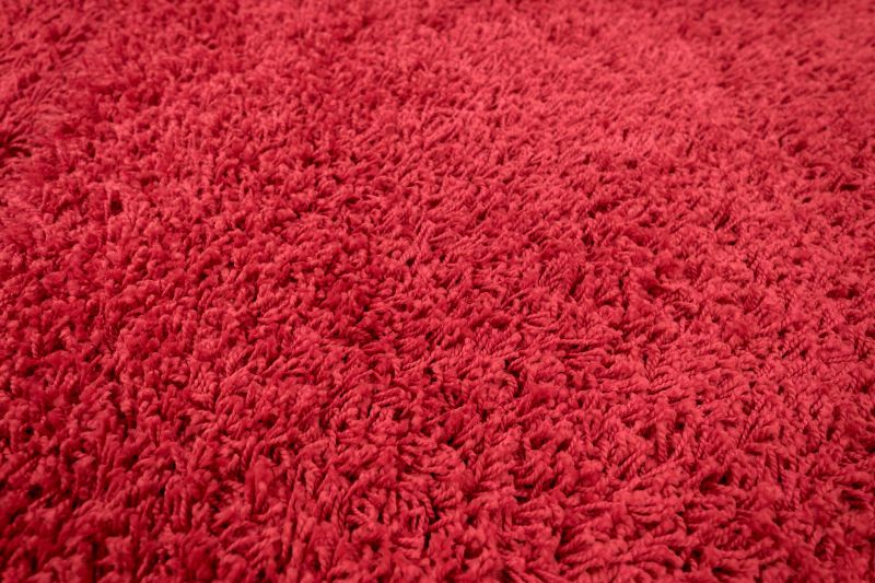 Pet Stain Carpet Repair in Alpharetta, GA