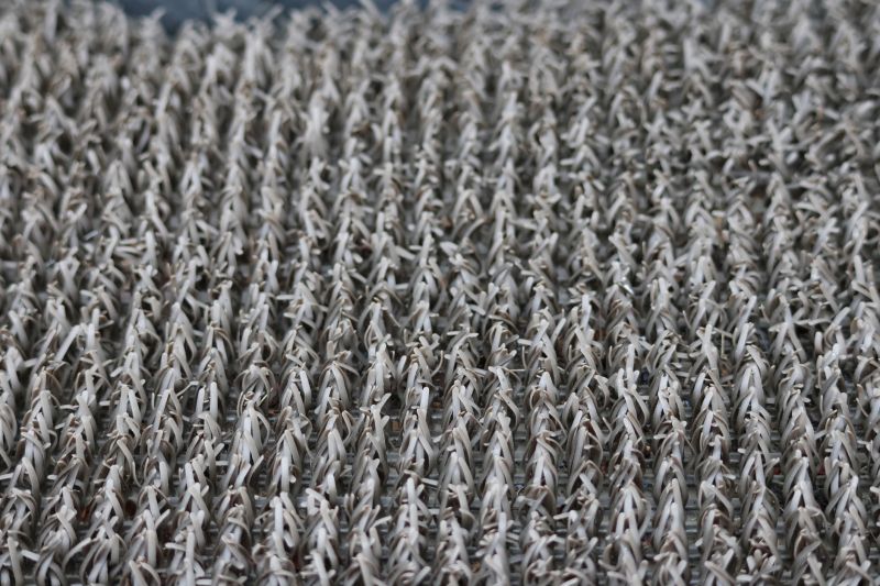 Residential Carpet Repair in Olathe, KS